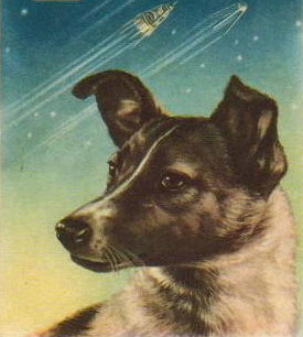 Laika — die Weltraumhündin, Namengeberin der Kulturkneipe